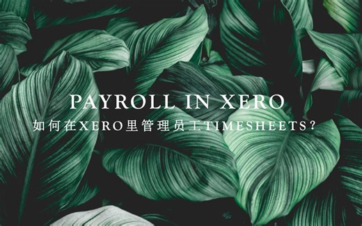 Xero Payroll ｜如何在Xero里管理Timesheets？