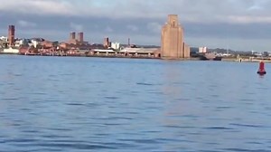 ‪Dolphins spotted swimming in the River Mersey. 🐬 ‬ ‪🎥 Sean Ralph ‬ | ScouseScene