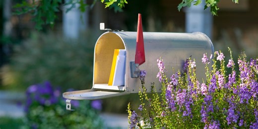 9 Pretty Flowers to Plant by Your Mailbox That Are Also Easy to Grow