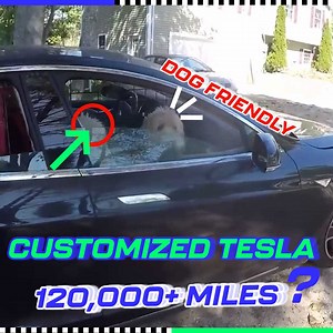 3.1M views · 7.7K reactions | A Tesla with a built-in dog cage? | Rich Rebuilds | Facebook