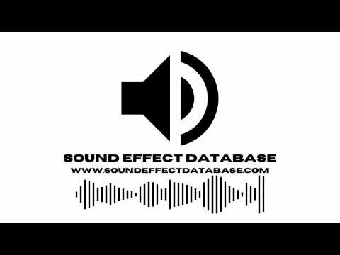 Anchor Dropped In The Water Sound Effect