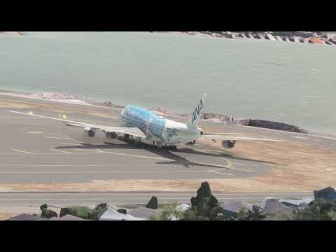 Beautiful Moment: ANA Airbus A380 Takeoff | Flight Simulator