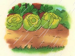 Caillou 140 - Caillou Grows Carrots