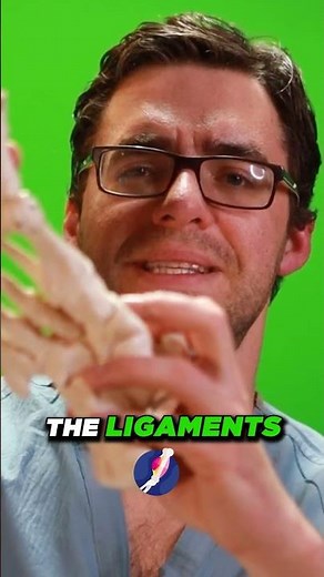 Distorted Black Purple Bruising : Signs You May Have Grade 3 Toe Injury [Tests, Treatments,Recovery]