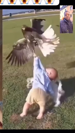 13 reactions · 80 shares | #fyp #trendingreels #wiledlife | Samtels Comedy.Tv | Facebook