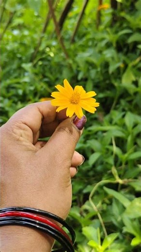 God's Own Country 😍✨ #love