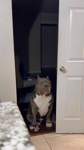 28K views · 1.1K reactions | Well since you’re here…  You could at least tap a like before you keep scrolling  It don’t cost nothing to say good morning ☀️ I’ll wait…  | I Am Gotti | Facebook