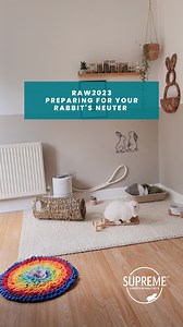 Rabbit neutering is a routine surgery and while a majority of rabbits will recover quite quickly, there are a number of things you can do before their surgery to make sure they are comfortable and get plenty of rest when they arrive home. Before surgery your rabbit can carry on eating as normal, as rabbits can't vomit, there's no need for them to fast before surgery like other animals or humans would. It's always a good idea to pack your rabbit's favourite hay, veggies, nuggets and any treats fo