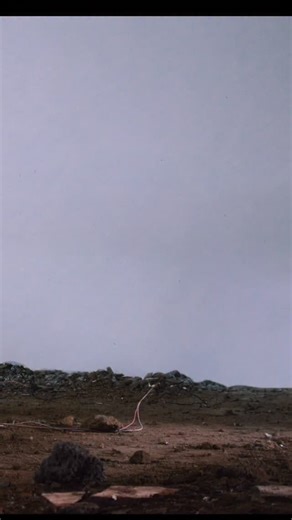 🚨Free Vhils Digital Artwork - 24h to go! 👉 @vhils [Link in bio to mint] ⚡️ ⚡️ I’m releasing a free digital artwork — one of my classic explosion pieces. I know NFTs are out of fashion — but I truly believe blockchain will be a medium of creation and interaction. Even if you don’t believe it, try to get it. It’s free. Ask a friend you trust if you need help, but make sure you collect this one. Or join our discord! ⏳ Available for the next 24 hours only. This isn’t just a drop. It’s the first sp