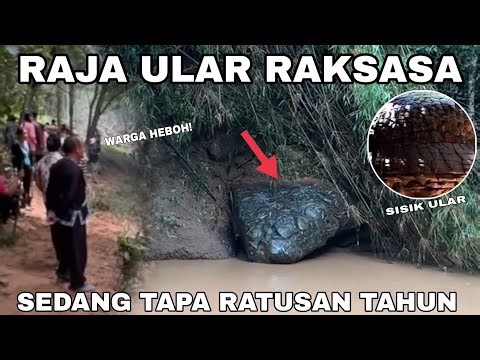GEMPARKAN ❗❗ Warga Thailand Kemunculan Batu Ular raksasa Bersisik Ratusan meter