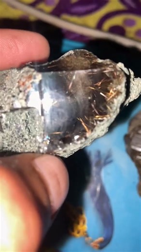 Himalayan crystal #goldenrutile #rutile #rutile_quartz #rutilequartz #crystals #quartz #shorts