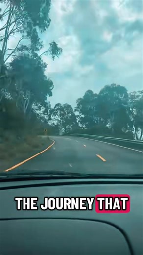 codyreedy33 (@codyreedy33)’s videos with original sound - codyreedy33