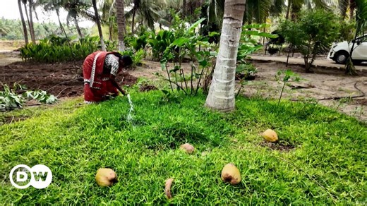 Smart farms, greener fields — beating drought in Tamil Nadu
