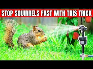 How to Keep Squirrels Out of Your Garden 🐿️ Easy Tricks That Work