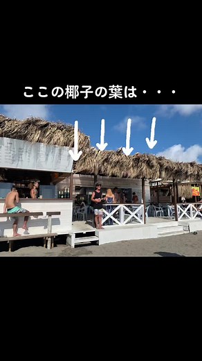 #海の家裏事情 #逗子海岸 #逗子 #海の家 #beachhouse #2022 #海開き #海の家ができるまで #海の家スタッフ