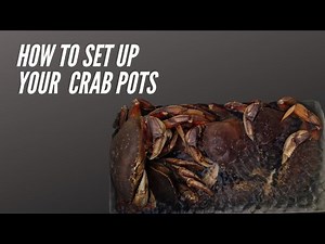 How to set up crab pots - first time crabbing