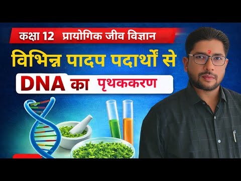 पादप पदार्थों से DNA का पृथककरण | Class 12 Biology Practical | Step by Step