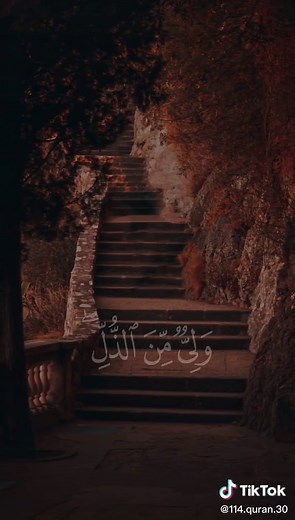 قرآن كريم بصوت جميل للشيخ فارس عباد