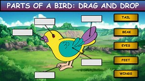 Parts of a Bird: Digital Worksheets: Drag & Drop: Distance Learning