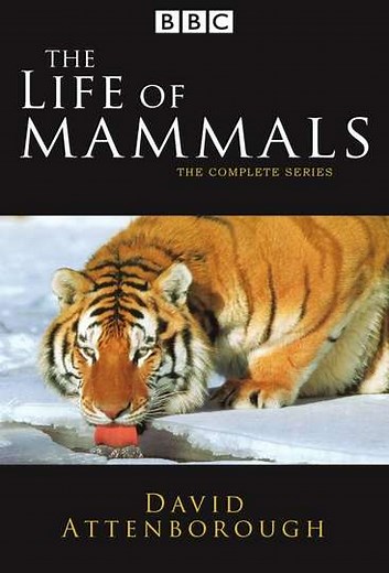 The Life of Mammals (2002-2003) - TV Show