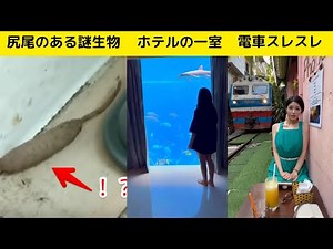 [Amazing Videos galore] 11 interesting things from around the world that will make you take a sec...