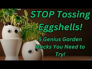 5 Genius Ways to Use Eggshells in Your Garden! (Organic Gardening Hacks You Need to Try!)