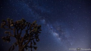 Introducing the Video Challenge