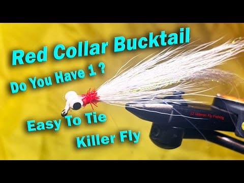 Beginner Easy Red Collar Bucktail fly pattern. Tutorial Step by Step