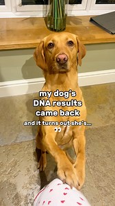 633K views · 42K reactions | which is your favourite? I like the...