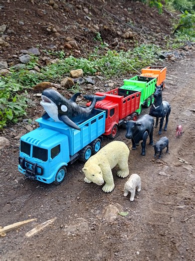 Angkut Sapi Kurban dengan Truk Oleng