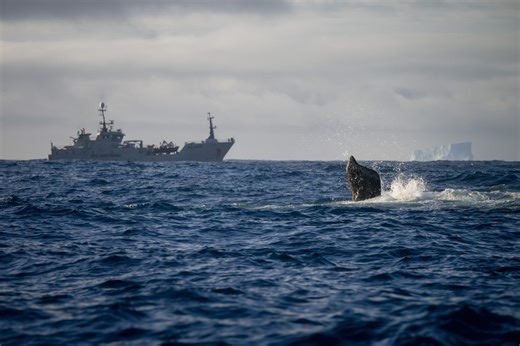 Sea Shepherd Fights Krill Trawlers in the Last Wild Ocean