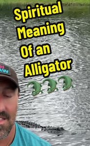 Giant #alligator | Tyler Hansen