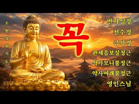 매일 들어라: 행운이 올 것이다 🙏 반야심경,천수경,금강경,관세음보살정근,석가모니불정근,약사여래불정근,화엄경약찬게 - 영인스님
