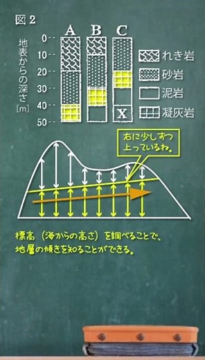 【中1理科】柱状図攻略法