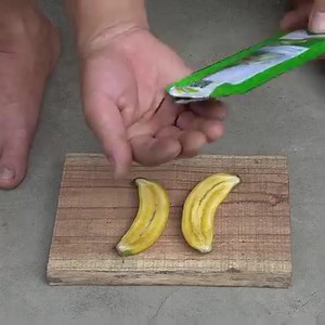 The Secret To Growing Fresh And Nutritious Cabbage For Your Family | DIY Balcony Garden