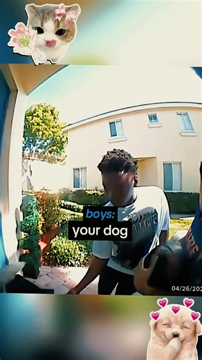 #foryou #fyp #movie #tvshow#USA | That's Not My Dog
