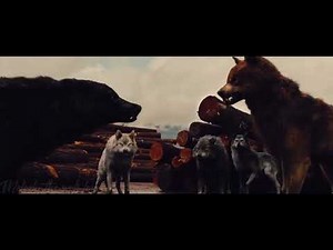 Twilight wolves￼-Sam &Jacob-control (ft Leah & seth)
