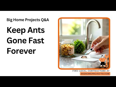 Post-Bait Ant Gel Maintenance: Airtight Food, Trim Vegetation