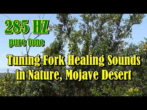 Tuning Fork 285 HZ Frequency Pure Tone Healing Sound Bath in Nature 🌵✨🌵 Healing Desert Creosote bush