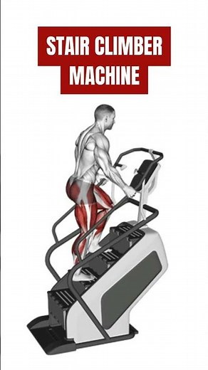 We Tested the TOP Stair Climber Machines and Found the BEST