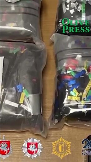 WATCH: The explosive moment Spanish police kick down a narco's door and tackle him to the ground