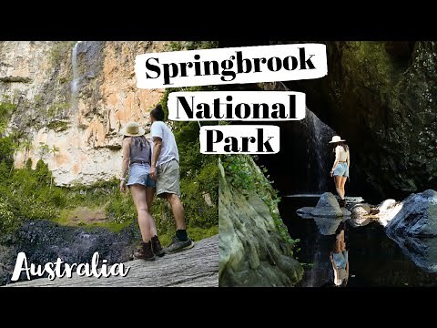 Highlights of Springbrook National Park! 🌲Waterfalls, Lookouts & Hikes | Australia Travel Vlog