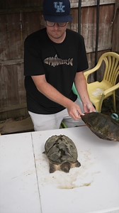 Is There a Snapping Turtle in My Pool? #turtle #minners #minnershortage2023 | Fishin’ with Tate