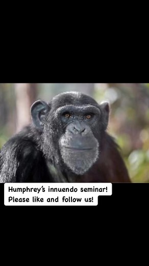 24K views · 165 reactions | Innuendo seminar! Humphrey at it again!! Pets telling jokes | Pets telling jokes | Facebook