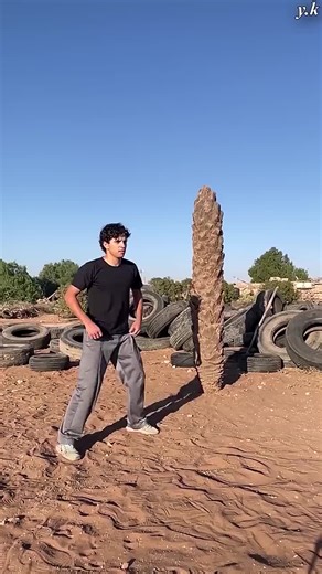 Exploring the Magic of AI Technology with BalliBot