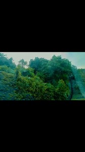 Kid Rhymes - Nursery Rhymes & Stories on Reels