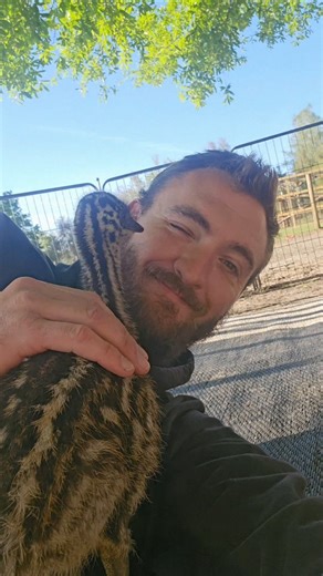 Baby Emu Chooses Me 🥹 (Unexpected Cuddle)