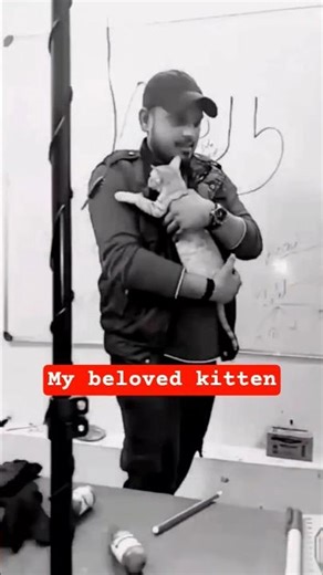 My beloved Kitten / kitty / Cat | Animal Lover | NK Mandal Sir |