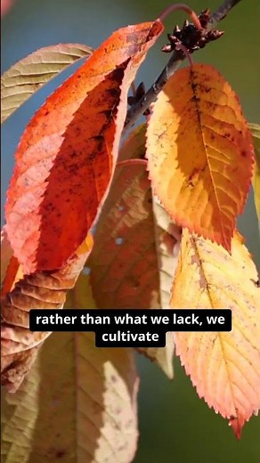 The Power of Gratitude | Inspirational Motivational Video