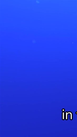 "5 Amazing Basking Shark Facts for Kids!"